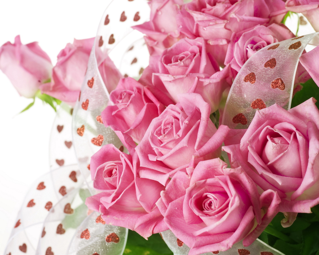 Большой красивый букет розовых роз с атласной лентой на белом фоне