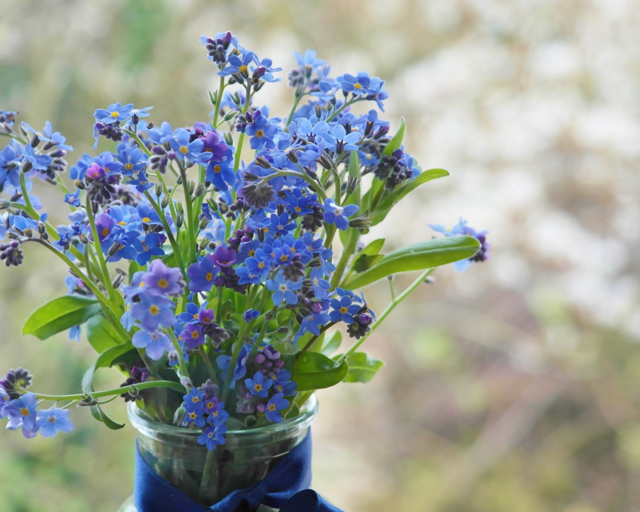 Голубые цветы незабудки в вазе с лентой