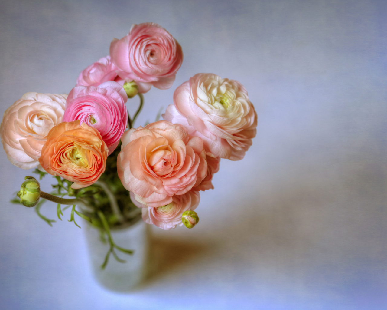 Букет лютиков в вазе на сером фоне