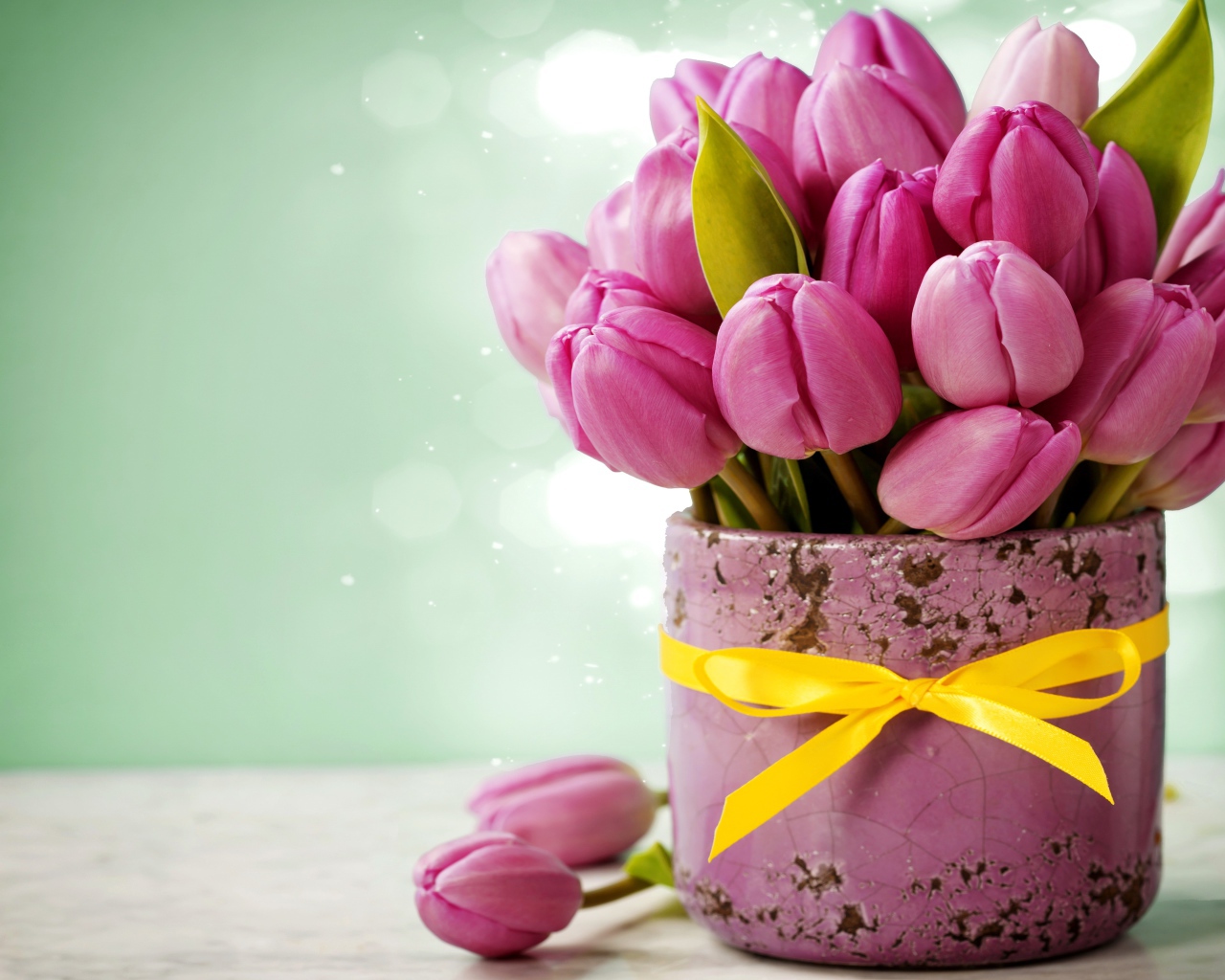 Букет розовых тюльпанов в горшке с желтым бантом