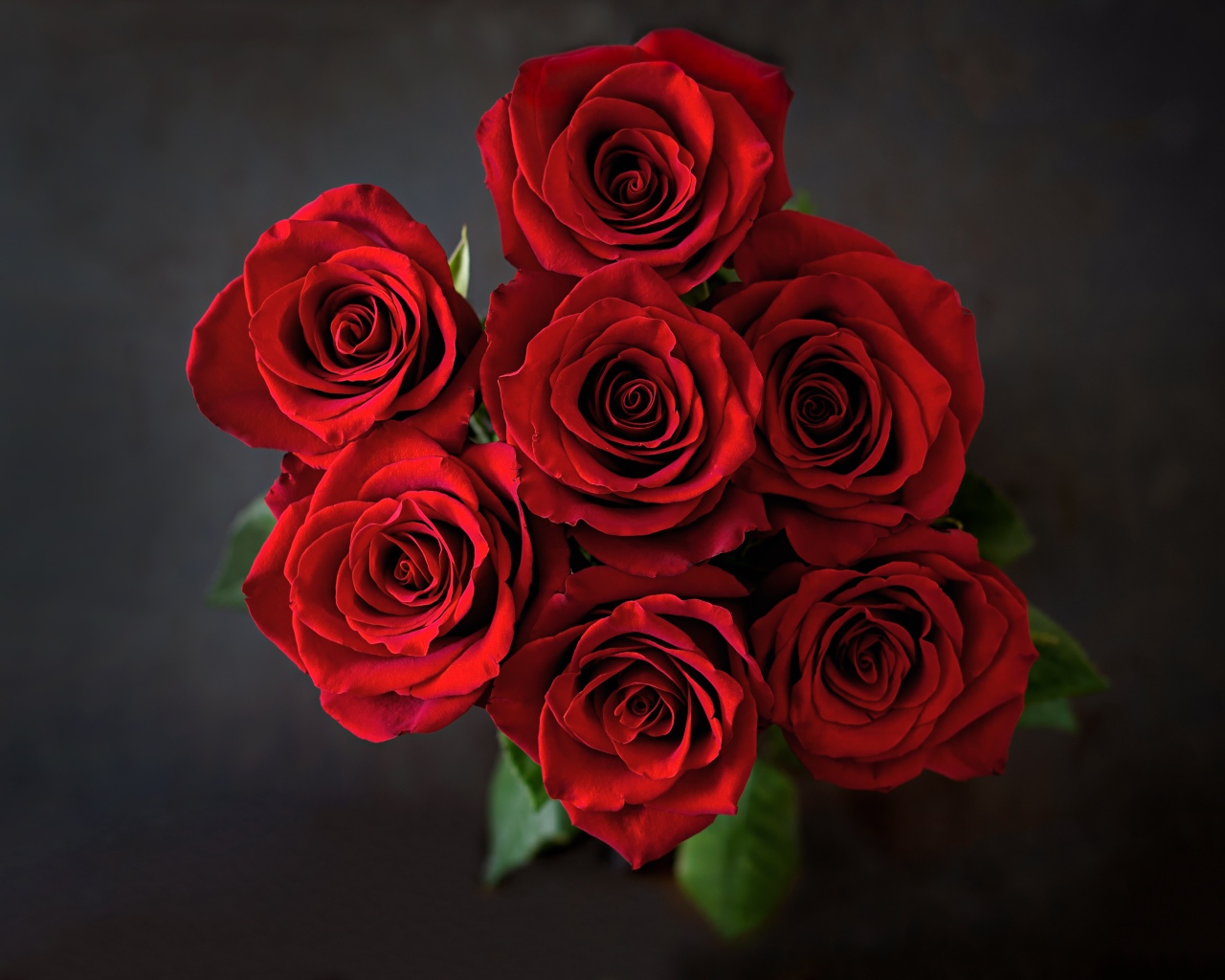 Букет красных роз на сером фоне вид сверху