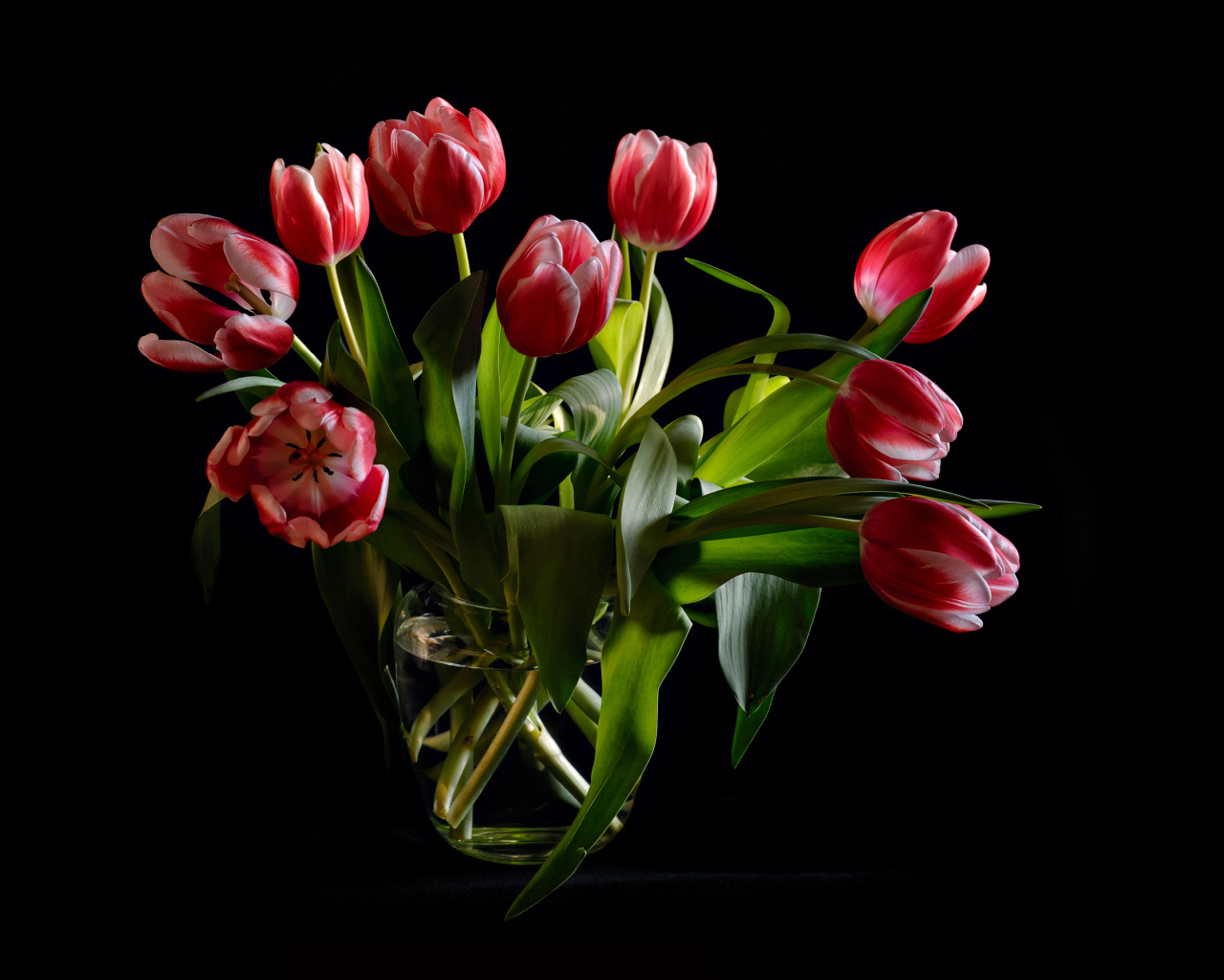 Букет красных тюльпанов в стеклянной вазе на черном фоне