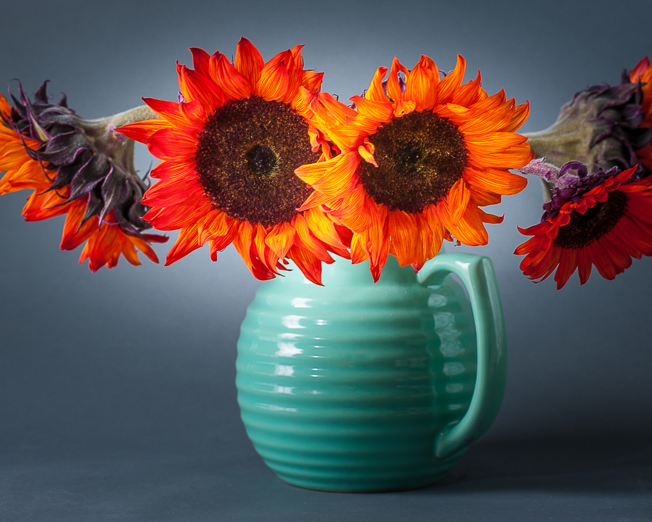 Букет подсолнухов  в голубой вазе на сером фоне