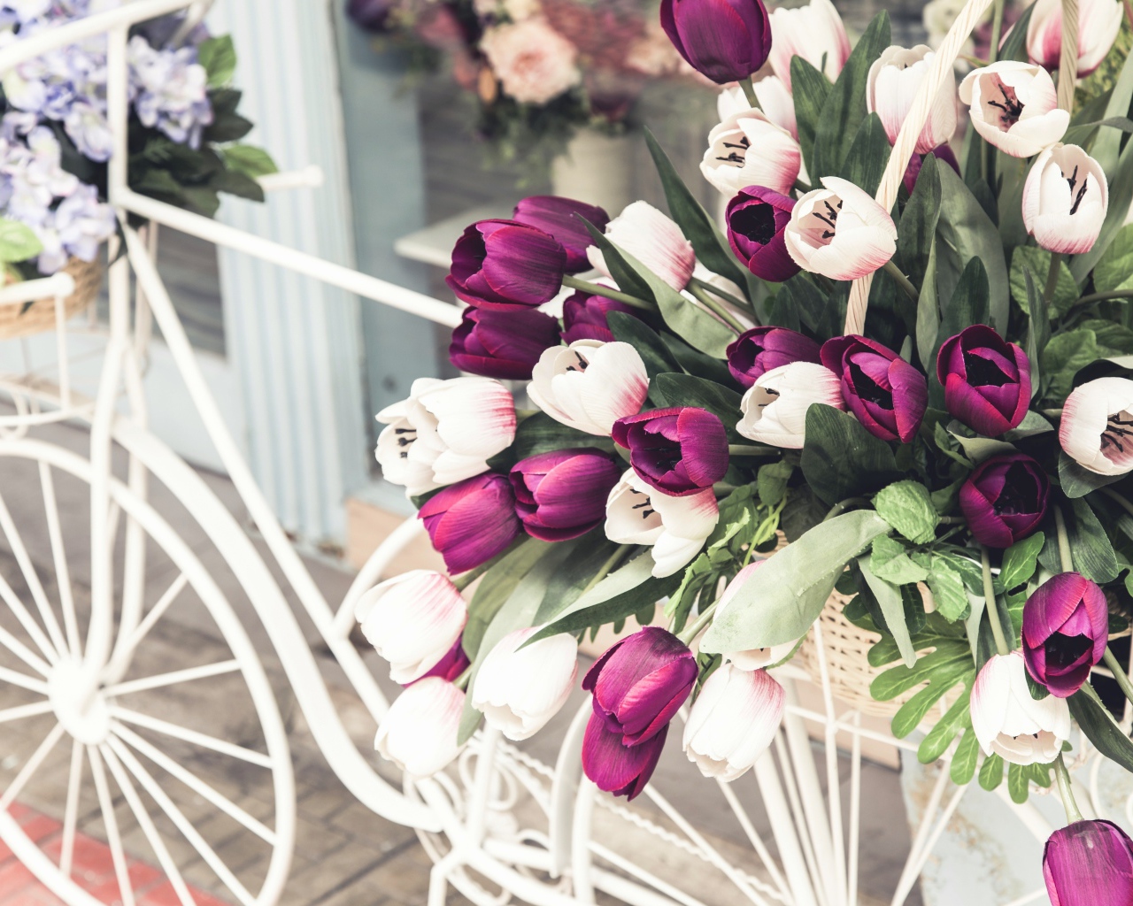 Букет тюльпанов в корзине на белом велосипеде