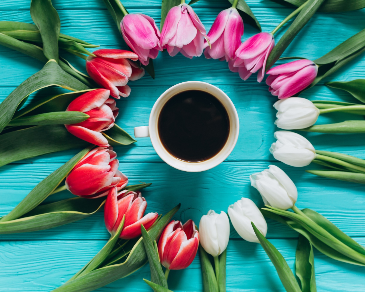 Букет тюльпанов с чашкой кофе на голубом фоне