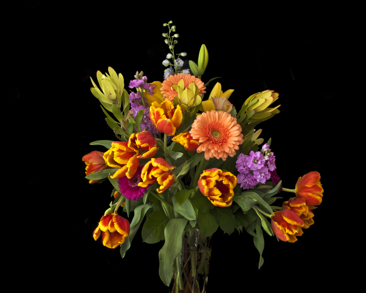 Букет тюльпанов с цветами герберы на черном фоне