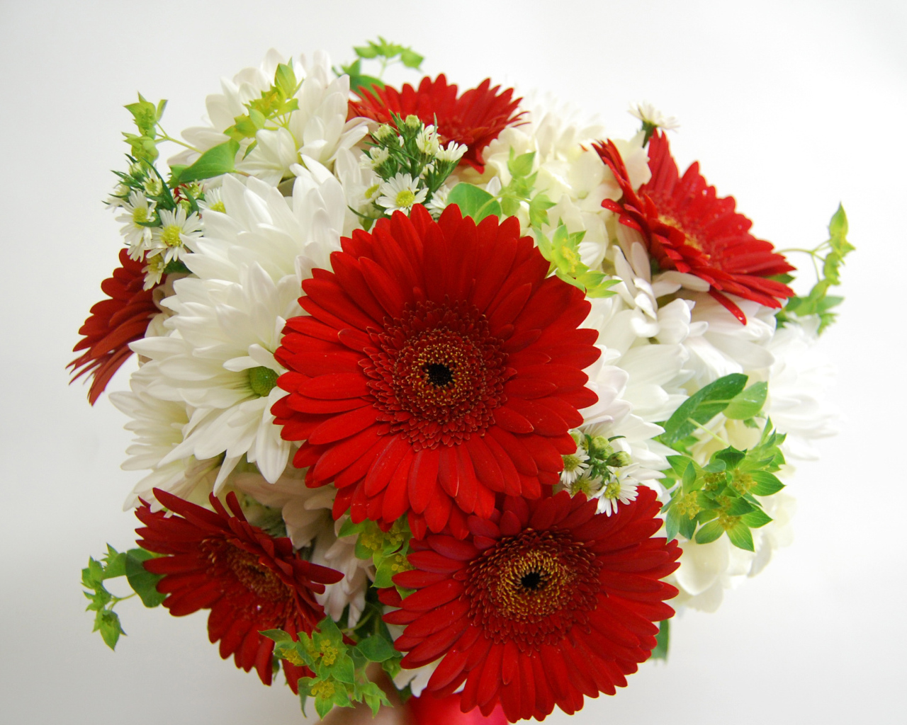 Букет белых хризантем с красными герберами