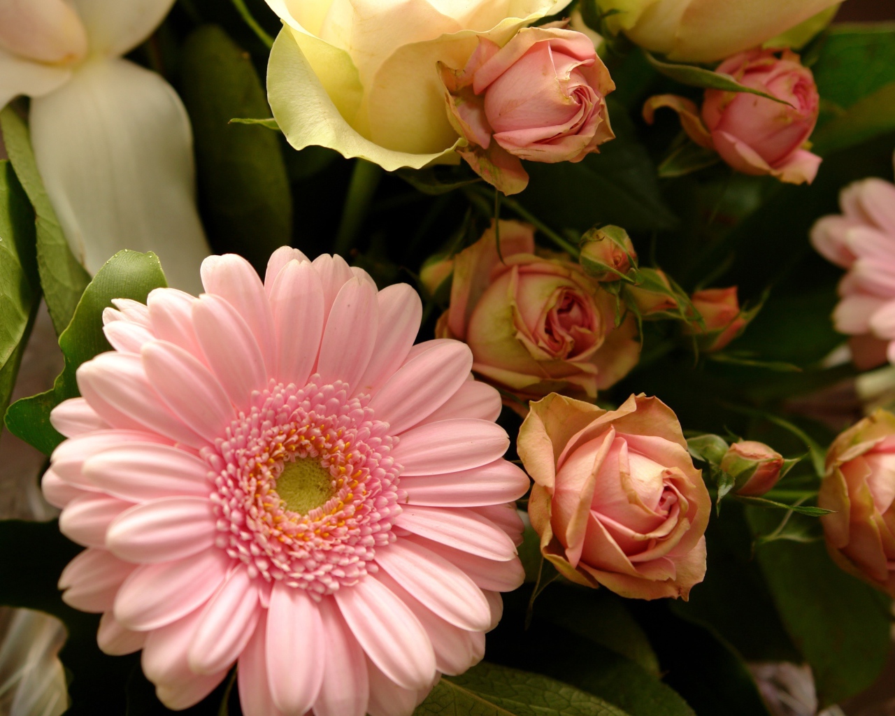 Букет с розовыми герберами и розовыми розами