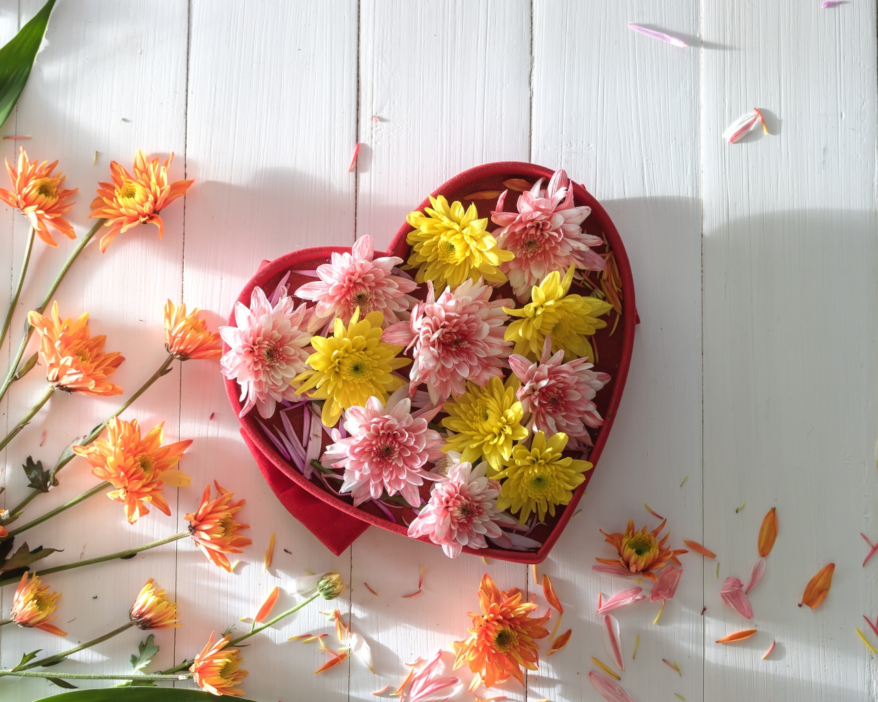 Коробка в форме сердца с цветами хризантемы