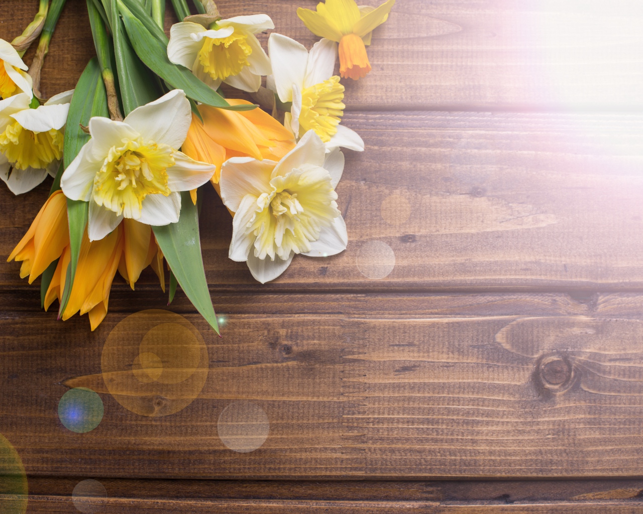 Нарциссы и желтые тюльпаны на деревянном фоне