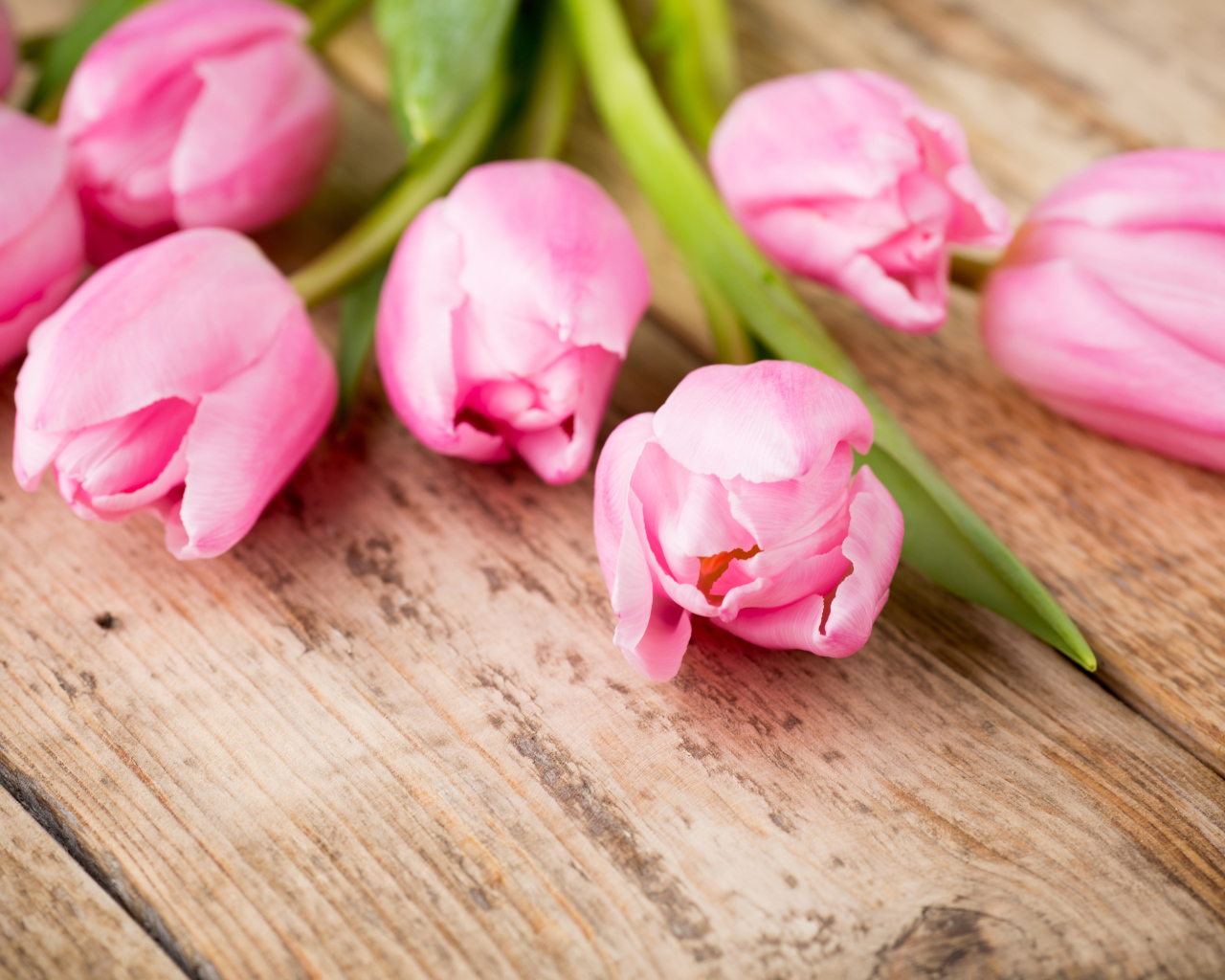 Нежные розовые тюльпаны на деревянном столе