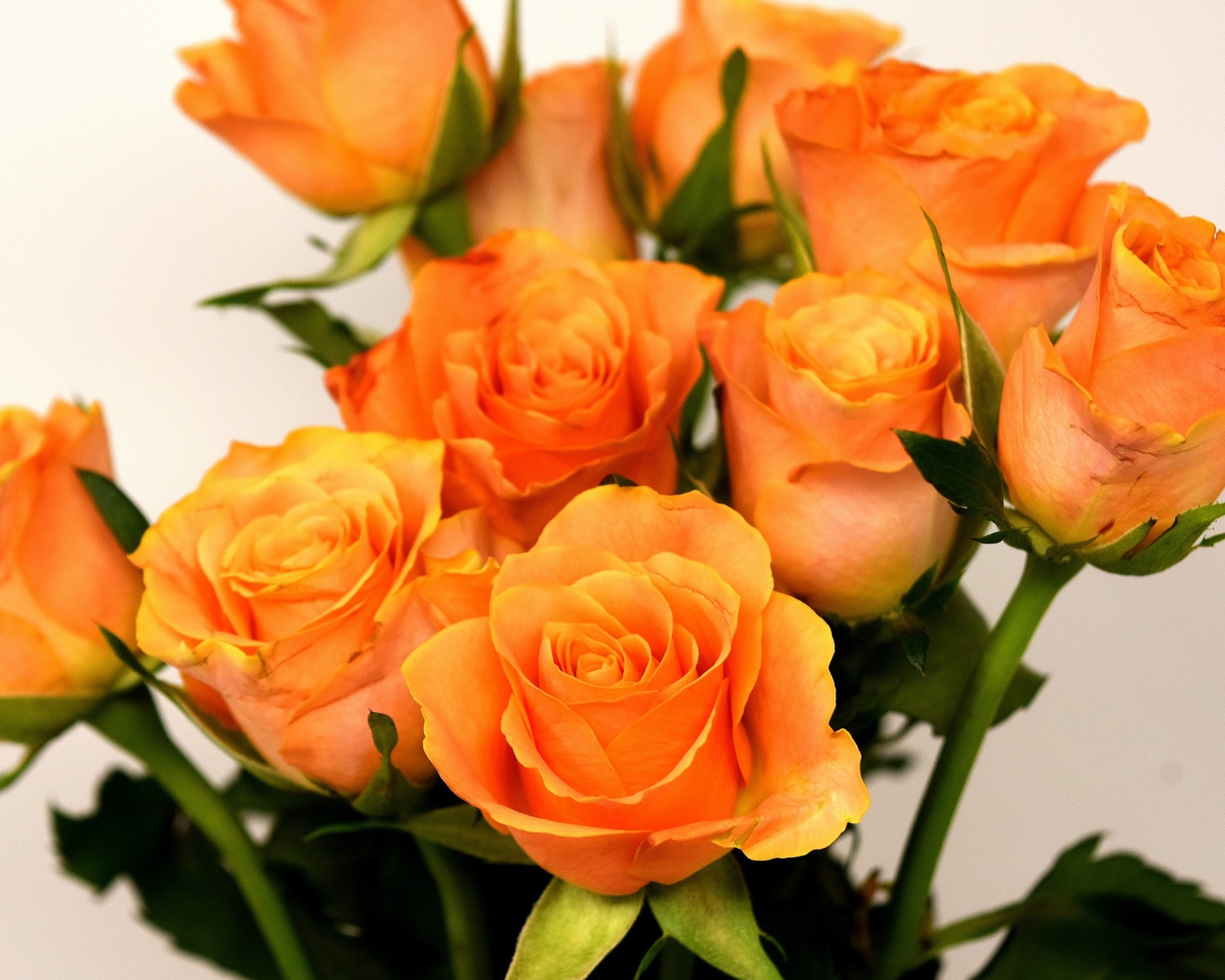 Праздничный букет оранжевых роз на сером фоне