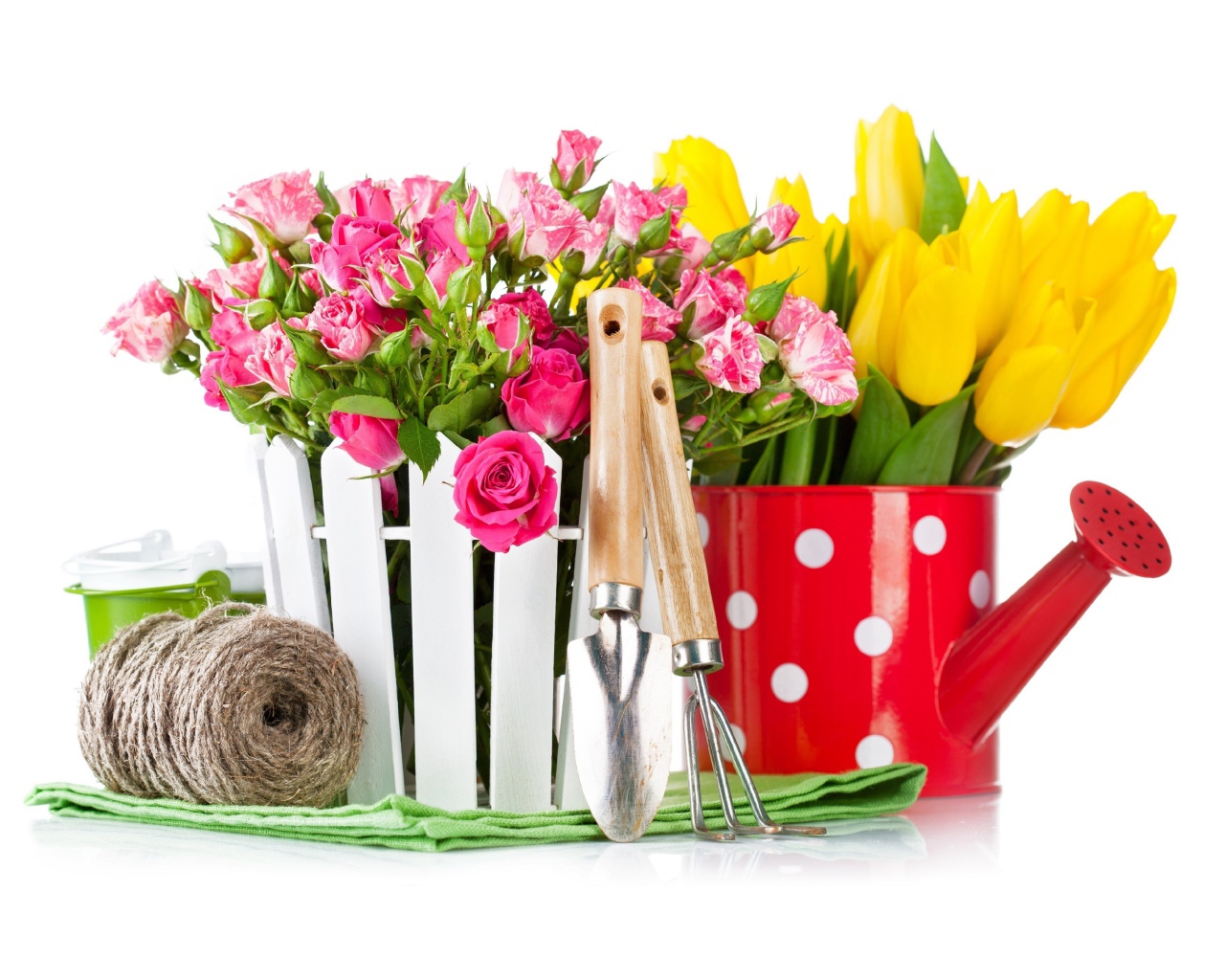 Цветы розовой розы и тюльпаны на белом фоне с садовыми инструментами