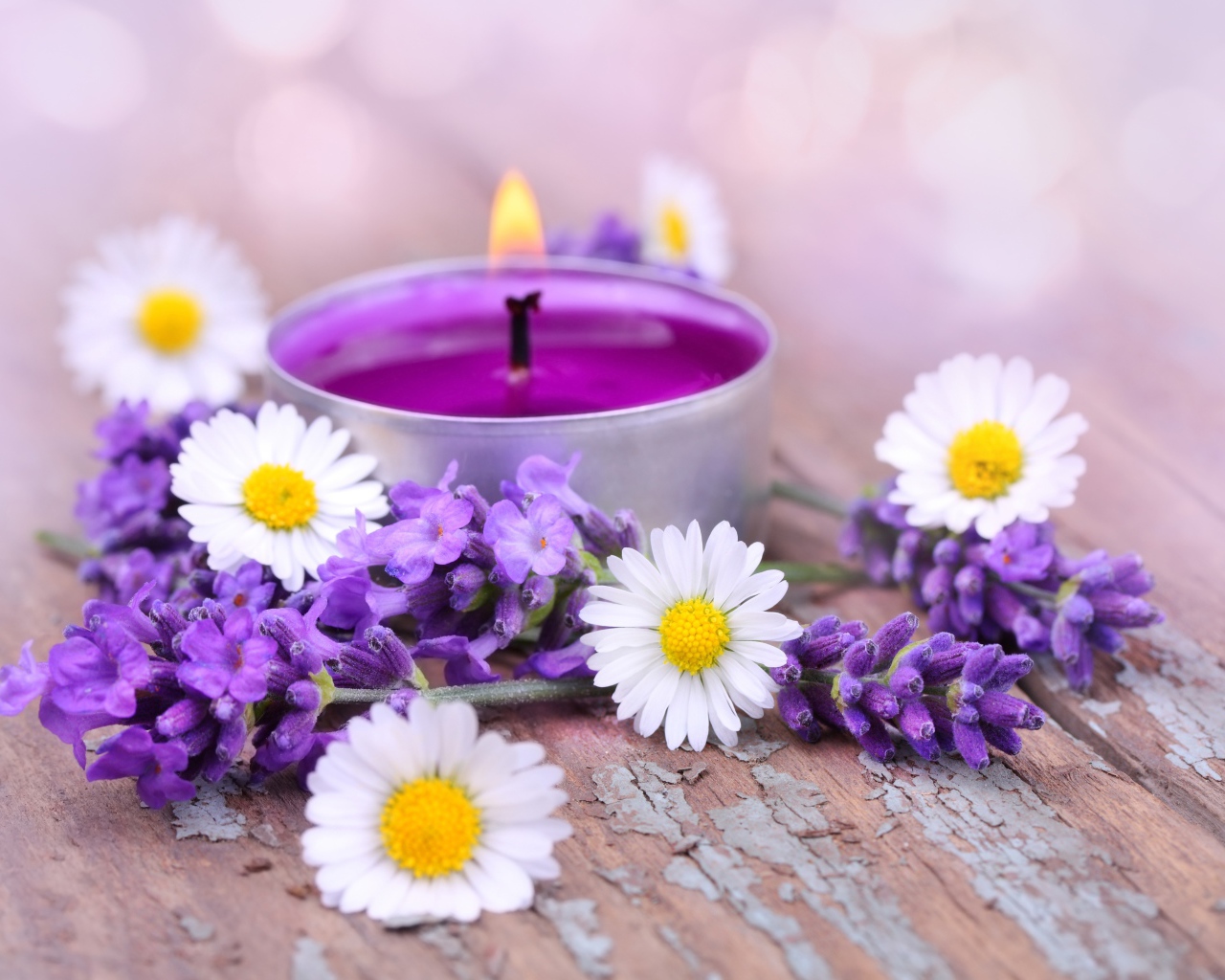 Зажженная свеча с цветами ромашки и лаванды
