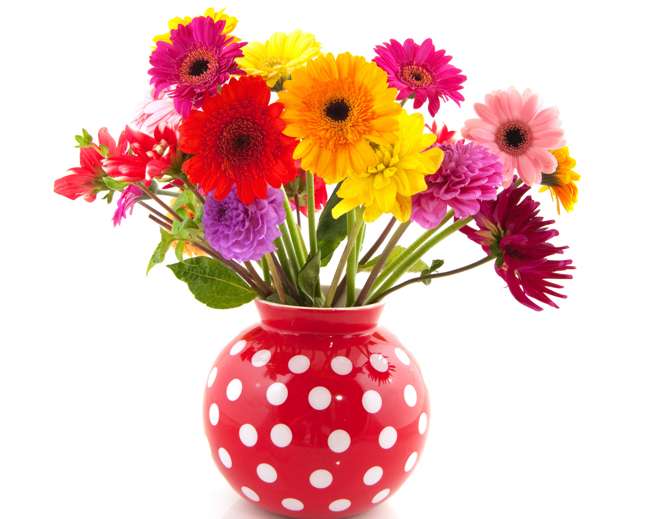 Разноцветные герберы и георгины в вазе на белом фоне