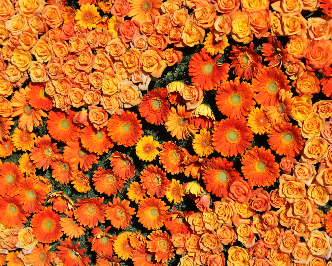 Оранжевые розы и герберы вид сверху