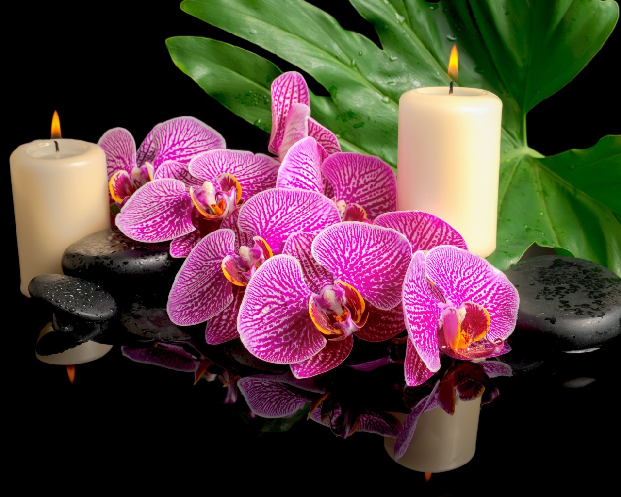 Розовые орхидеи с черными камнями и зажженными свечами