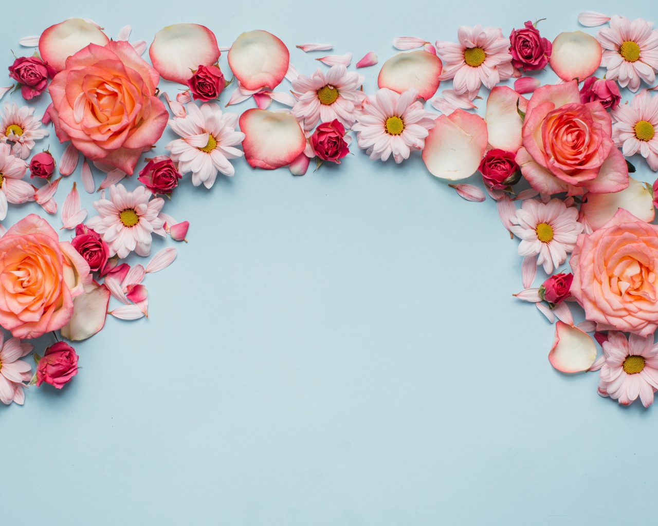 Розовые розы и хризантемы на голубом фоне 