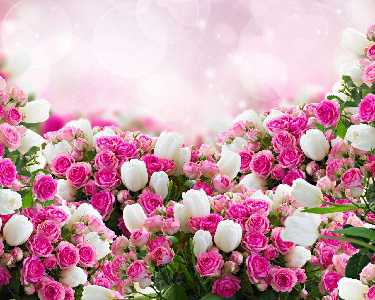 Розовые розы с белыми тюльпанами