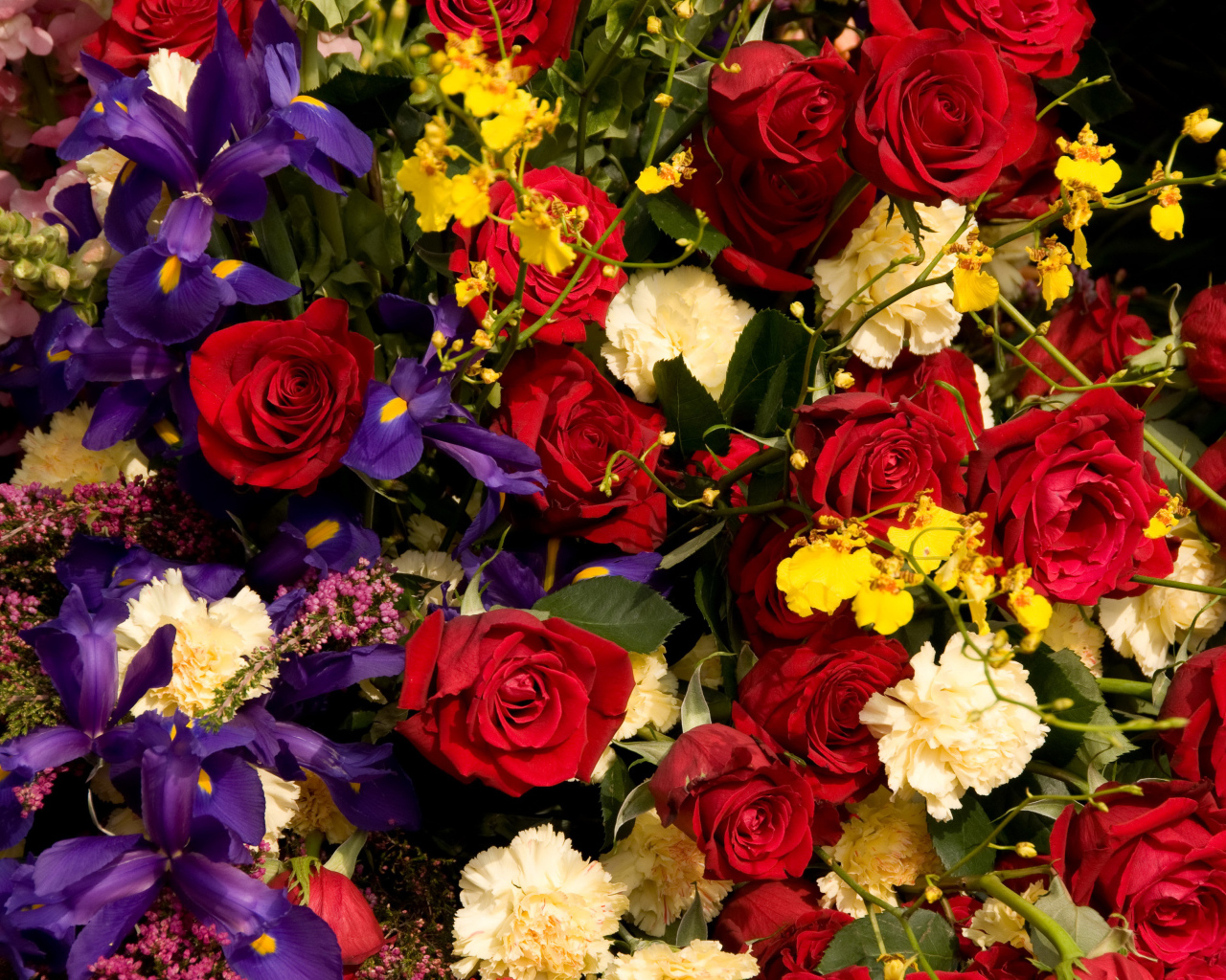 Розы, ирисы, гвоздики, орхидеи крупным планом