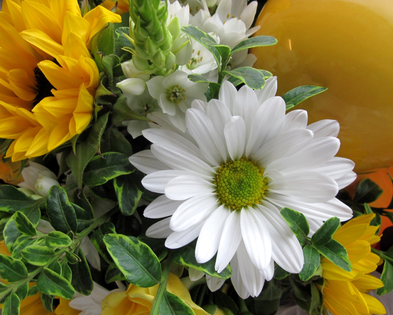 Цветы подсолнуха с белыми цветами хризантемы 