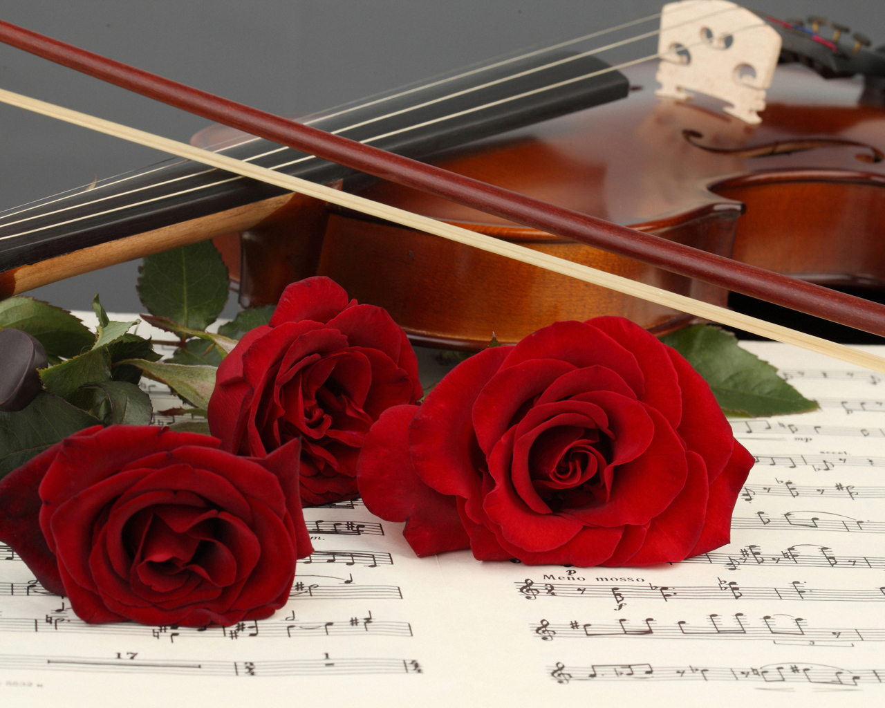 Три красные розы лежат на нотной тетради со скрипкой