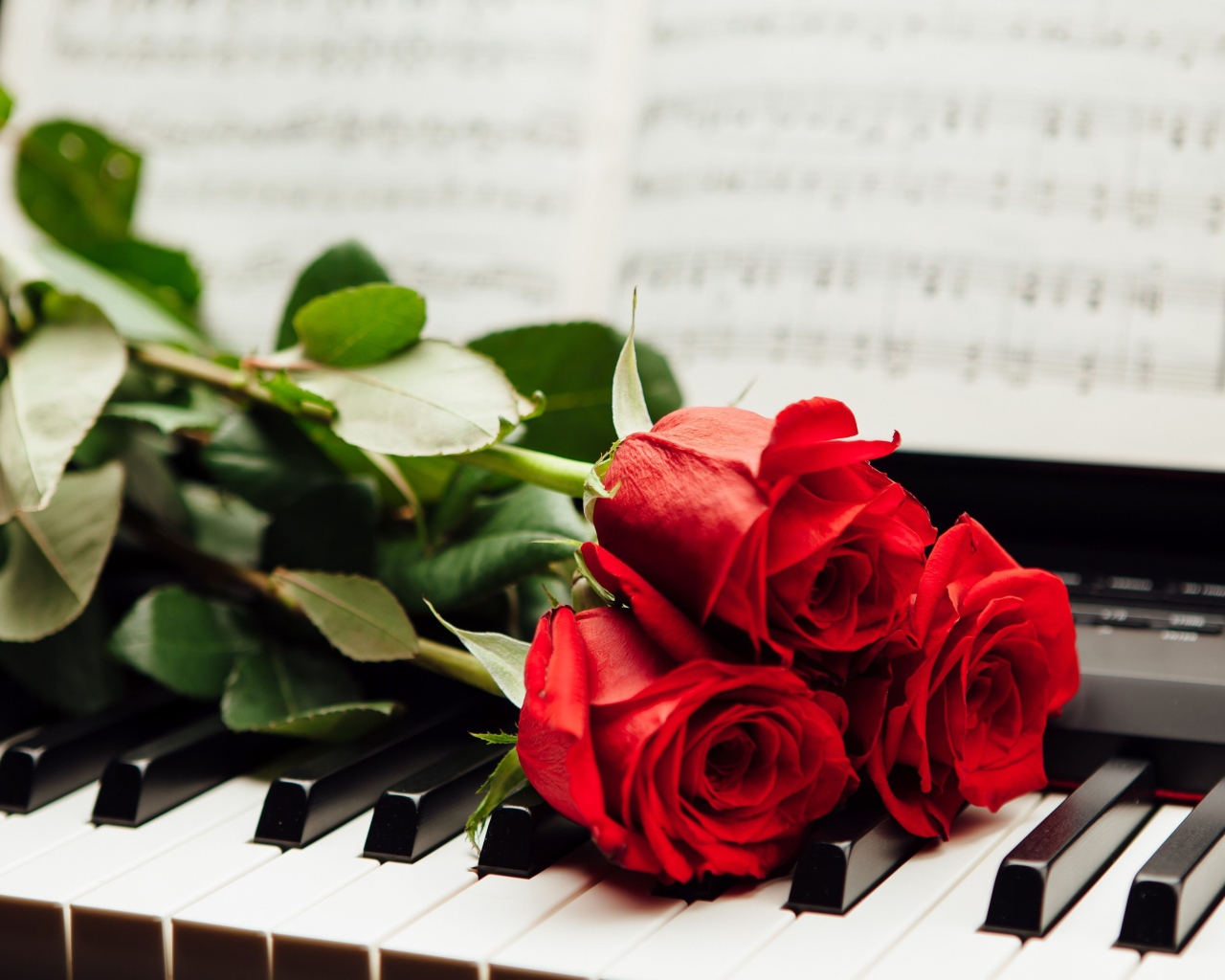 Три красные розы лежат на клавишах пианино с нотами