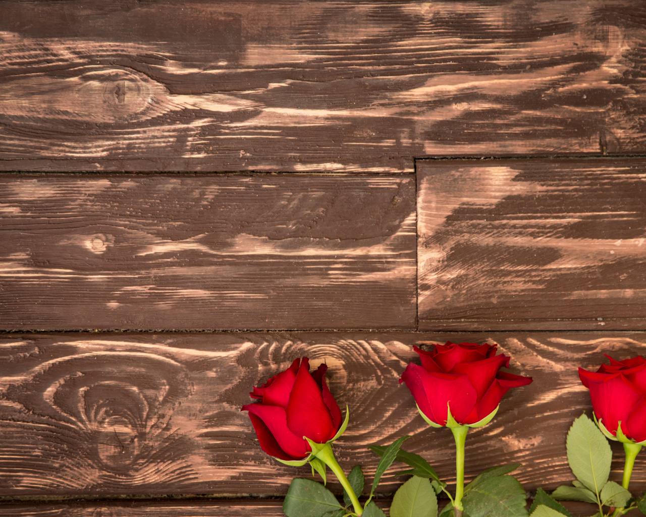 Три красные розы на деревянном фоне
