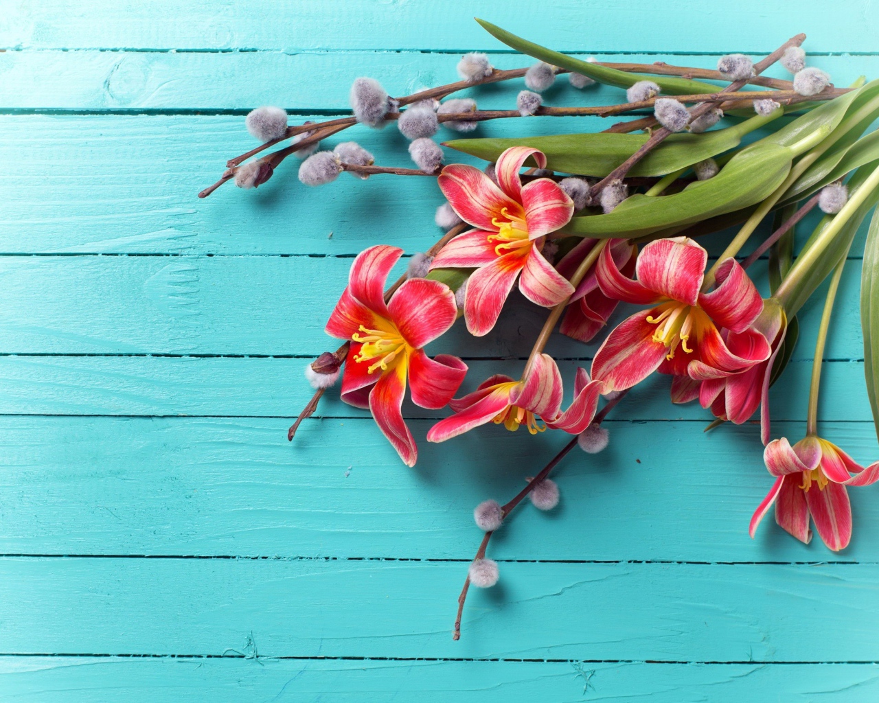 Тюльпаны с веточками вербы на голубом фоне