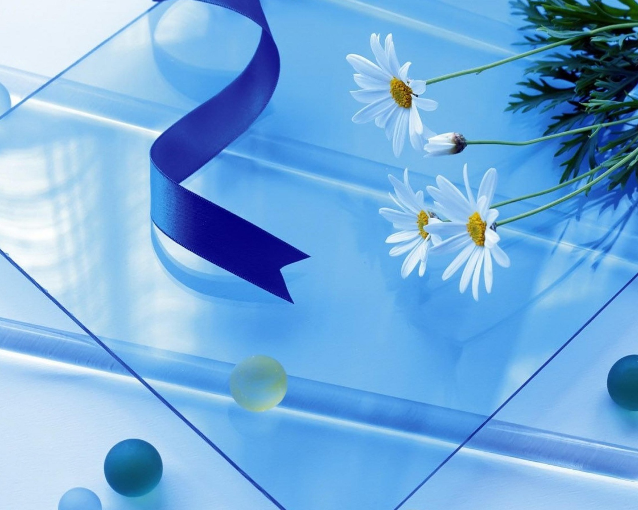 Белые ромашки на стеклянном столе с атласной лентой 