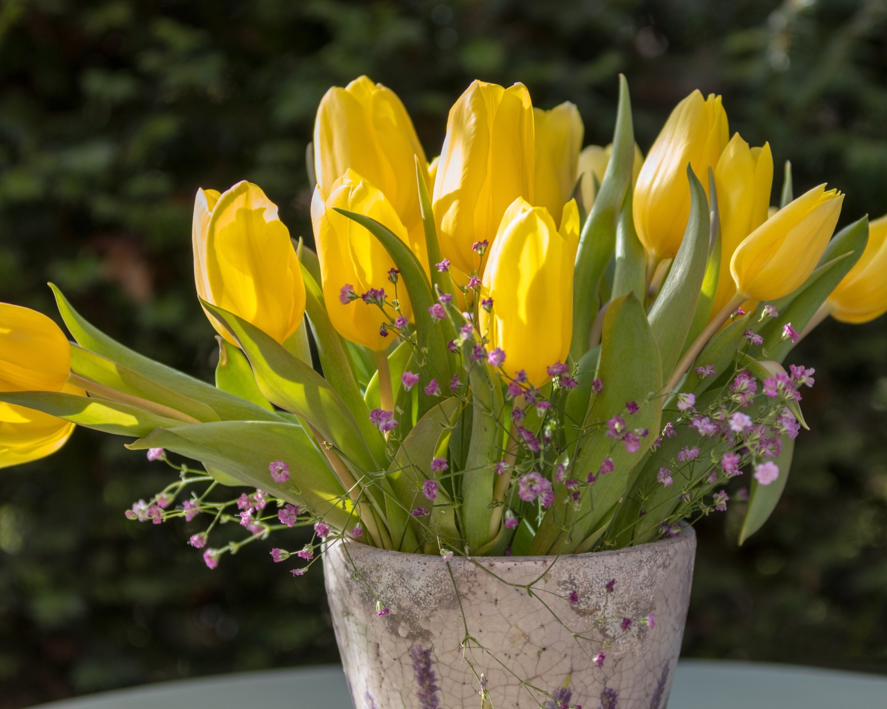 Желтые тюльпаны с цветами гипсофилы в вазе