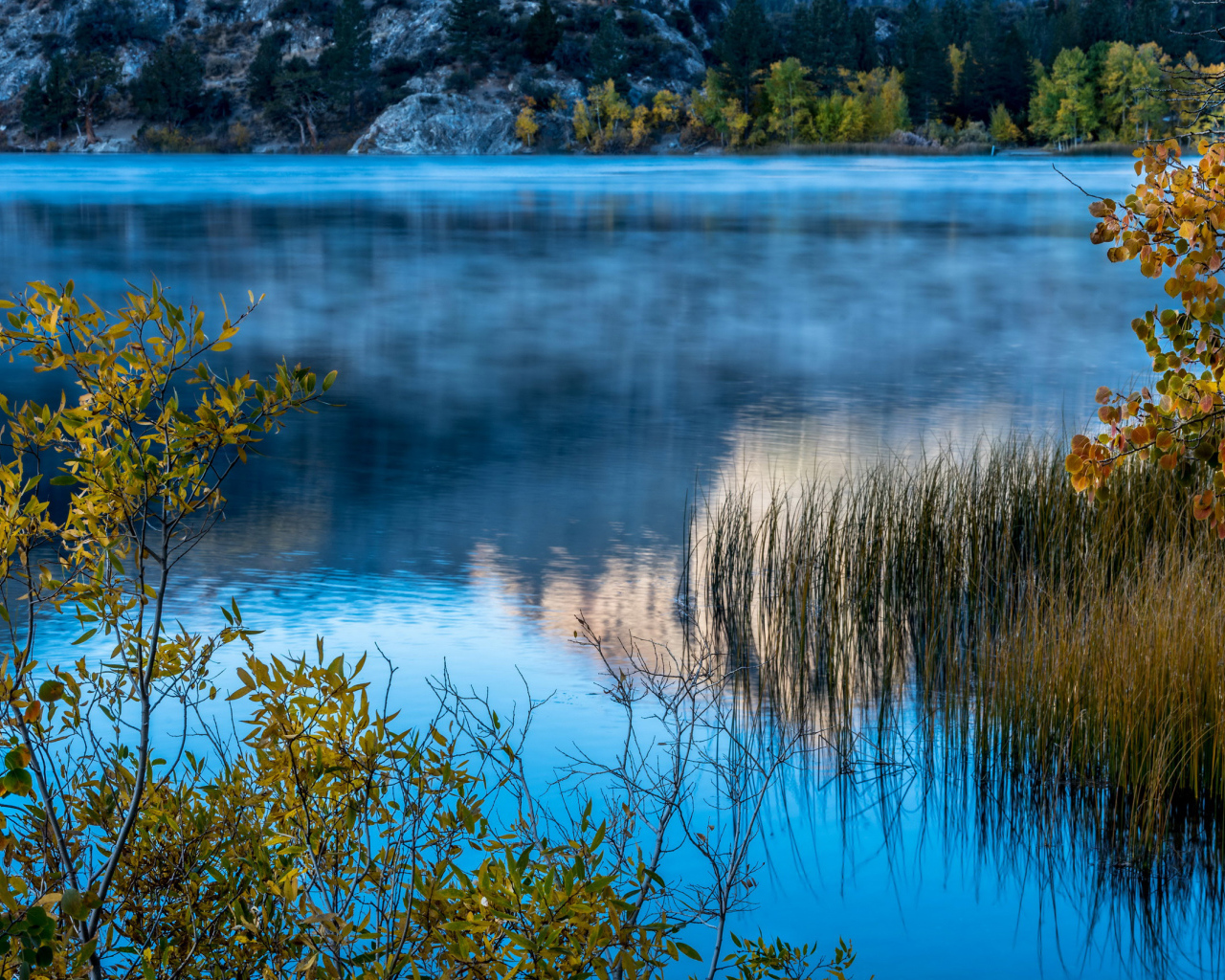 Утренний туман над горным озером, США