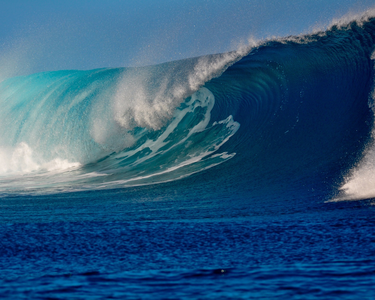 Высокая красивая волна в море