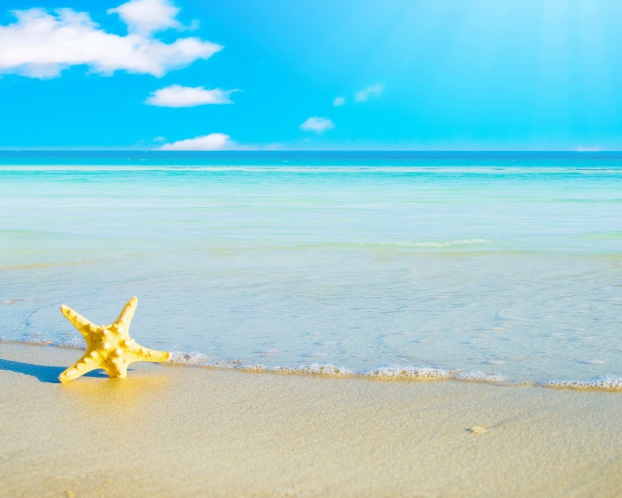 Морская звезда на белом песке у моря под голубым небом