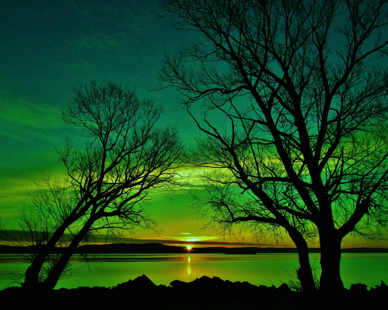 Силуэты деревьев на закате солнца