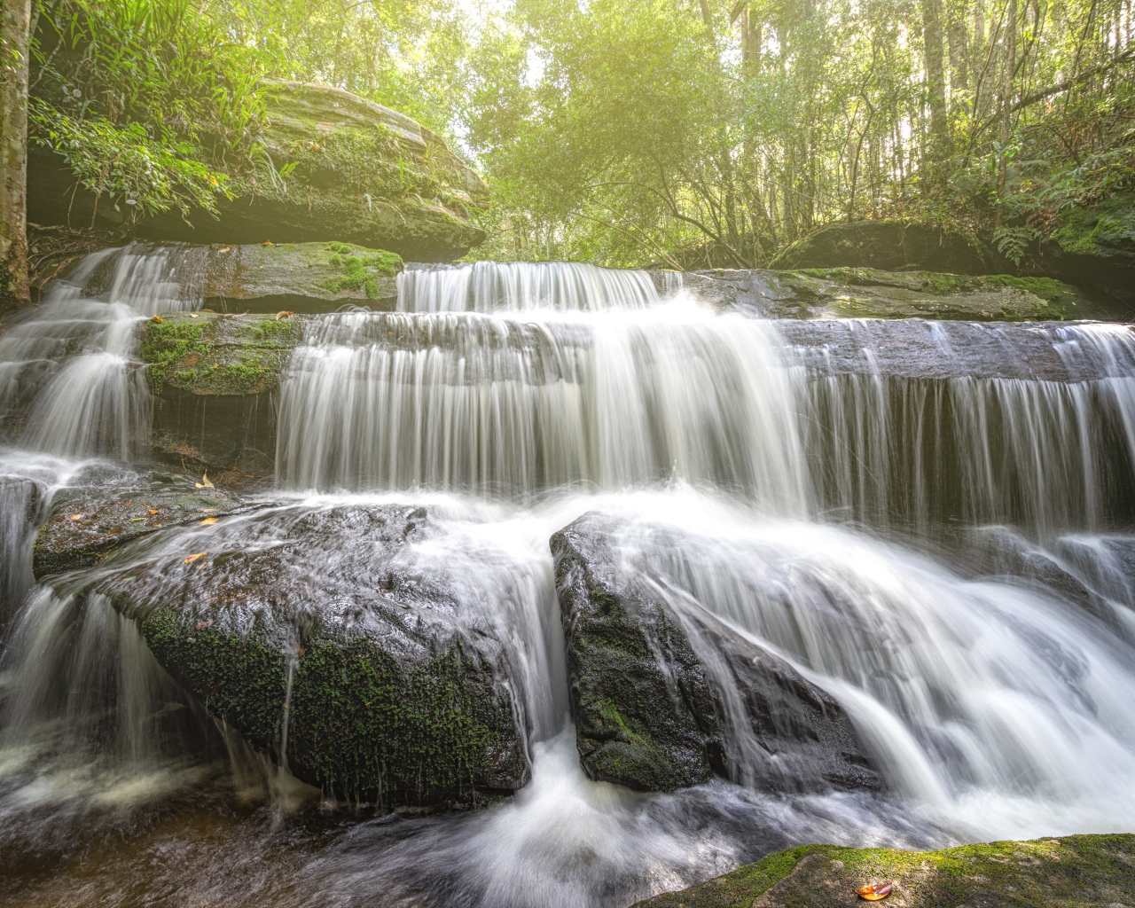 Лесной водопад стекает по камням