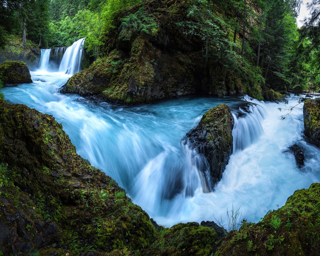 Быстрый лесной водопад бежит по мокрым камням