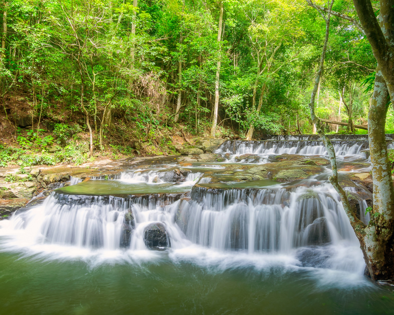 Быстрый лесной маленький водопад 