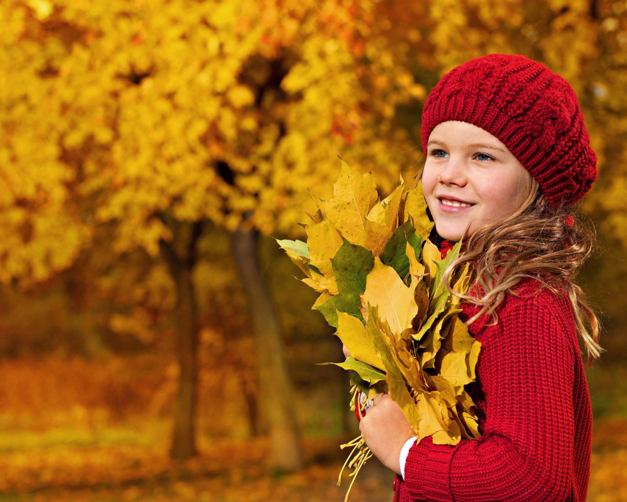 Девочка в красном берете с желтыми листьями в руках