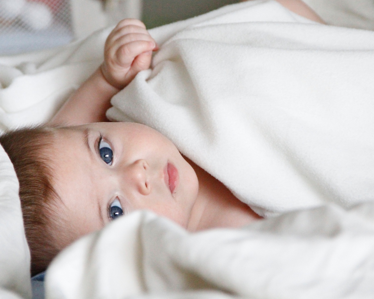 Маленький голубоглазый мальчик под белым покрывалом