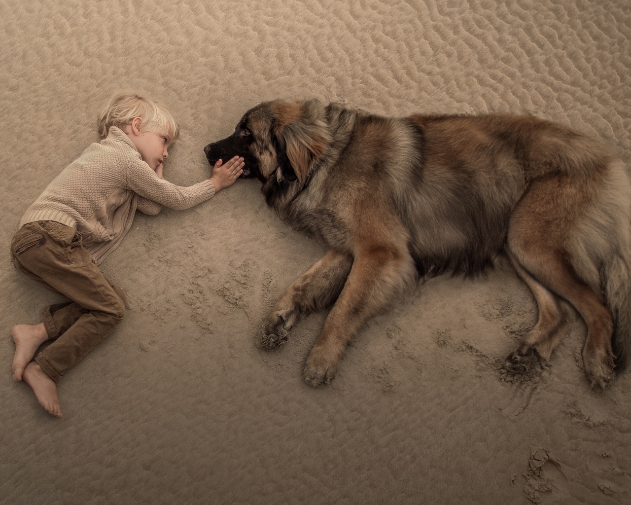 Маленький мальчик лежит на песке с большой собакой