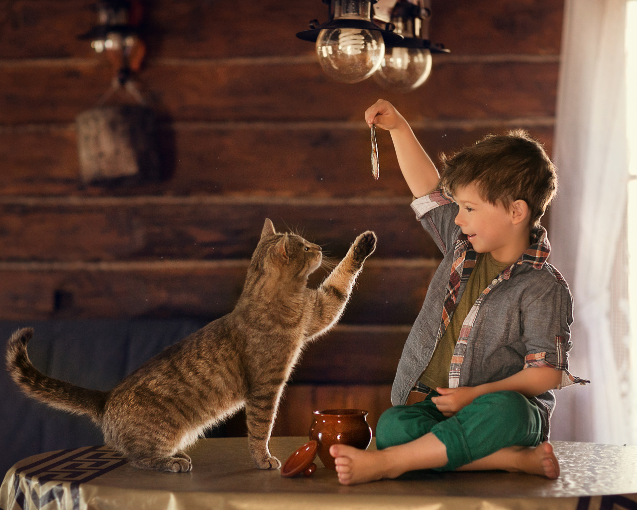 Маленький мальчик дразнит рыбой серого кота