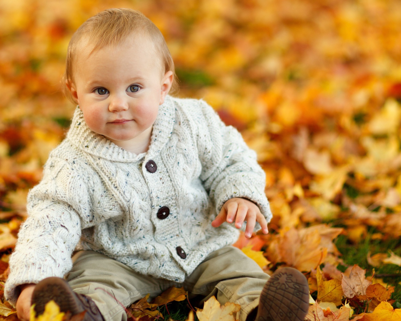 Маленький ребеной сидит на желтой опавшей листве осенью