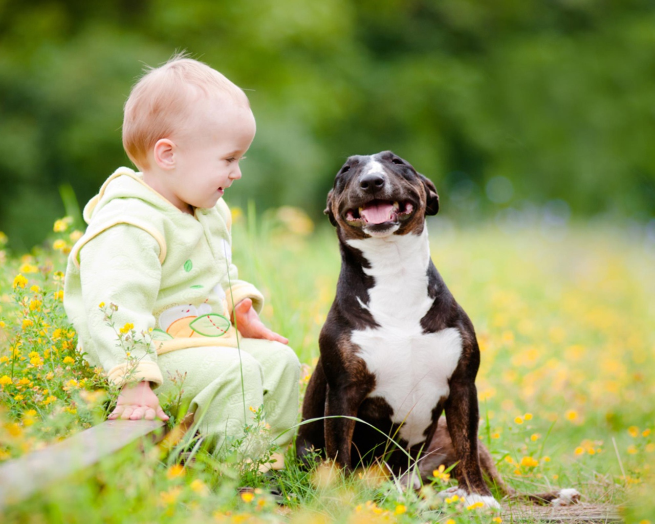 Маленький ребенок сидит с довольной собакой