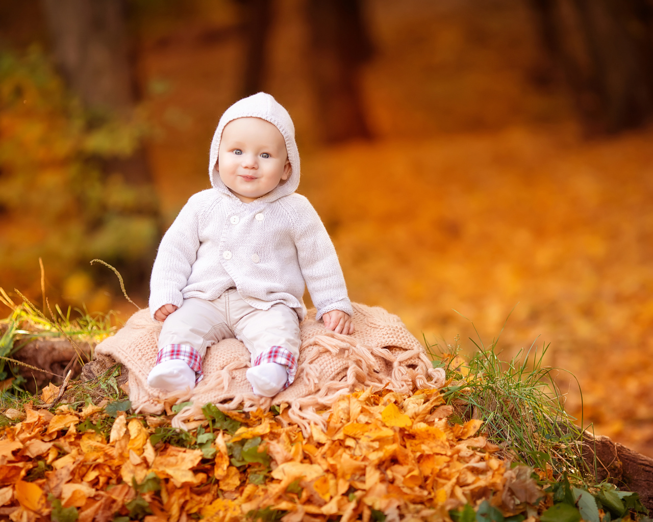 Маленький ребенок сидит на листве осенью 