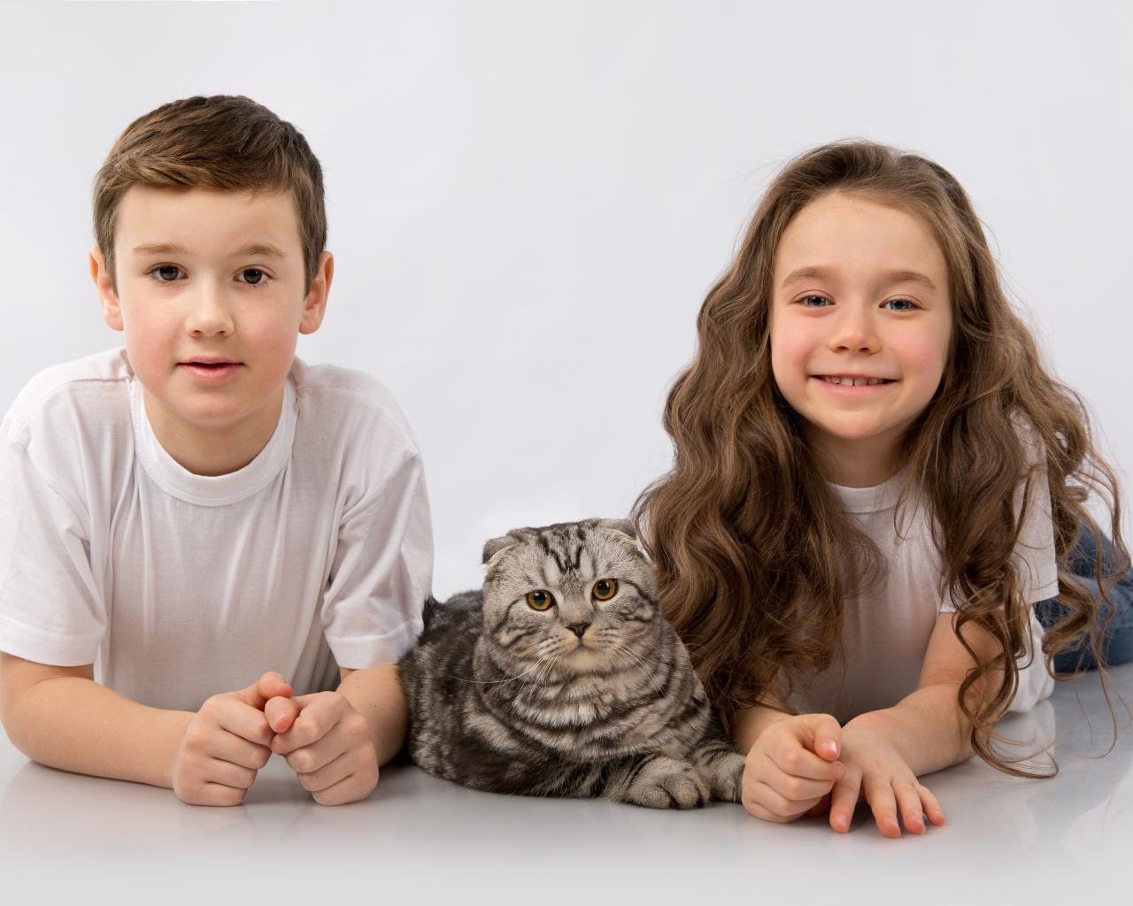 Мальчик и девочка с шотландским котом на сером фоне