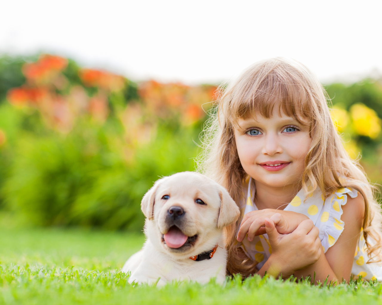 Милая маленькая девочка с щенком золотистого ретривера лежит на зеленой траве
