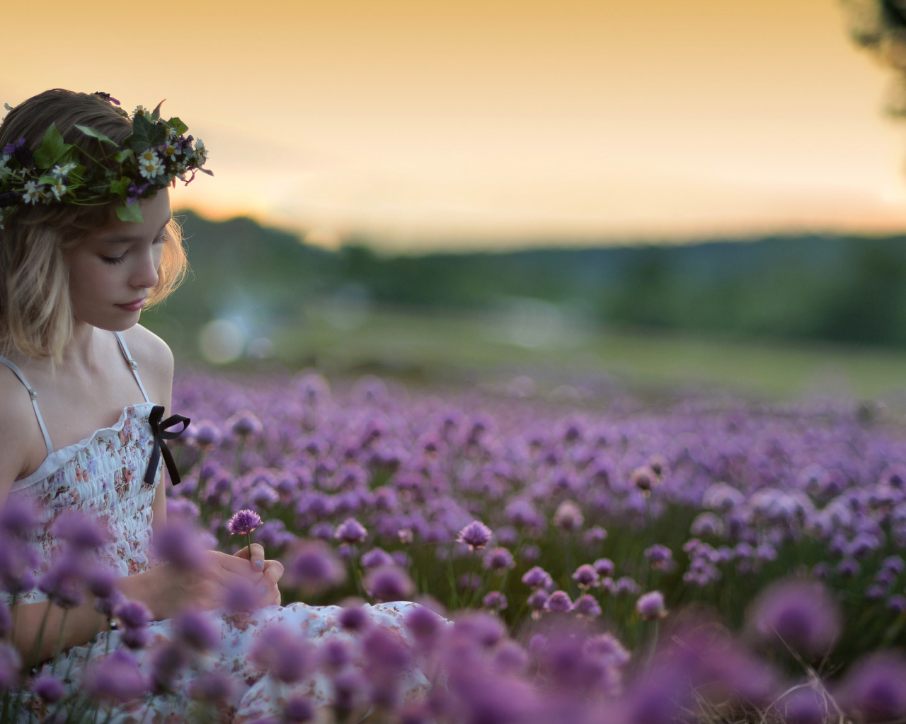 Нежная маленькая девочка сидит на поле с сиреневыми цветами