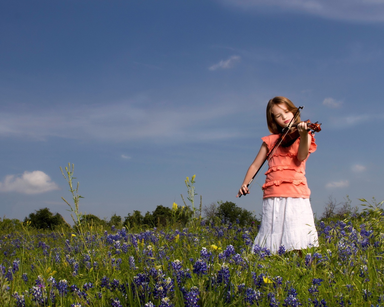 Девочка играет на скрипке на поле с цветами