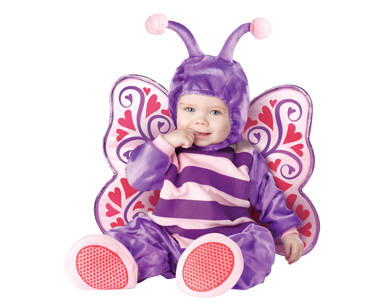 Маленький ребенок в костюме бабочки на белом фоне